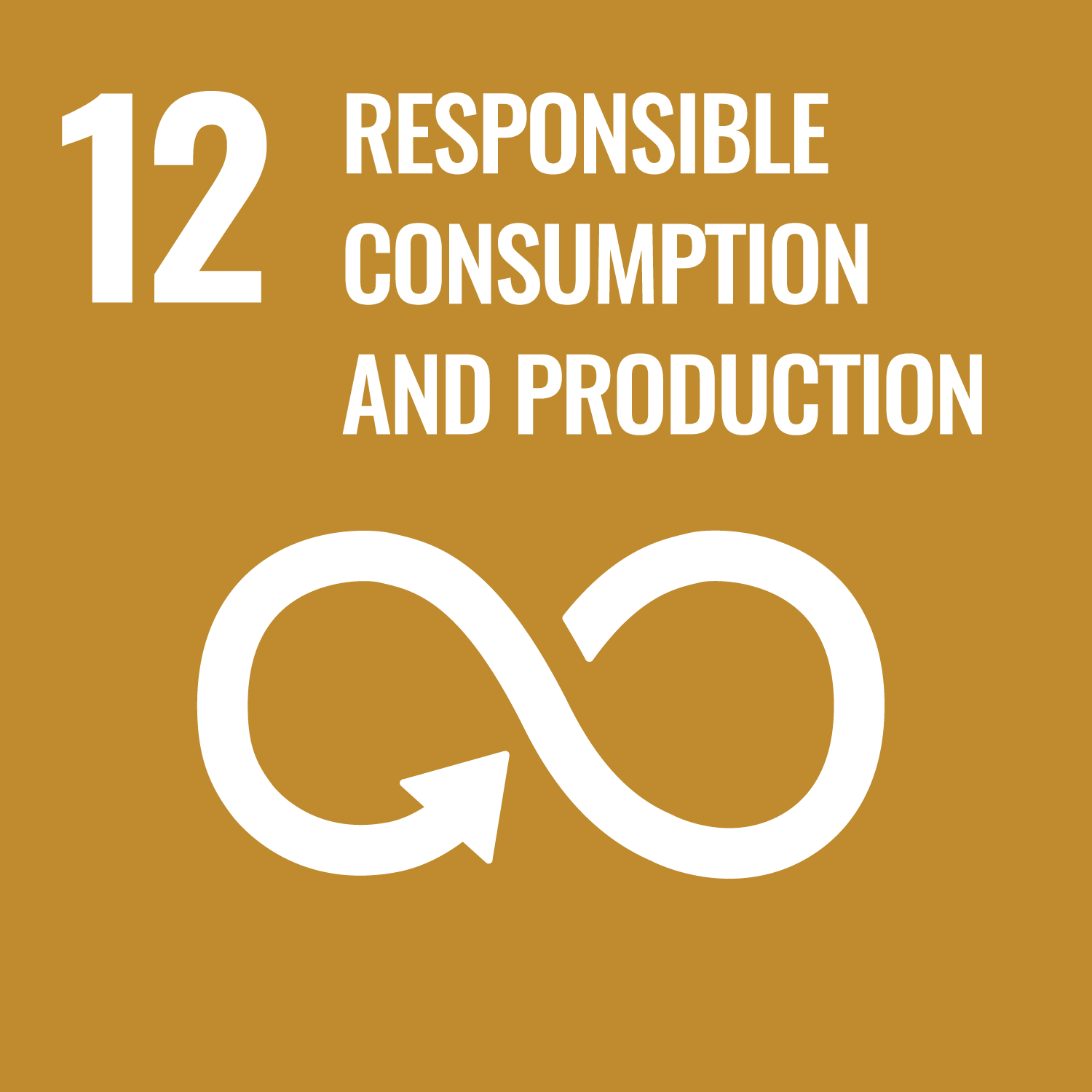 Sustainable Development Goal 12, Responsible Consumption and Production